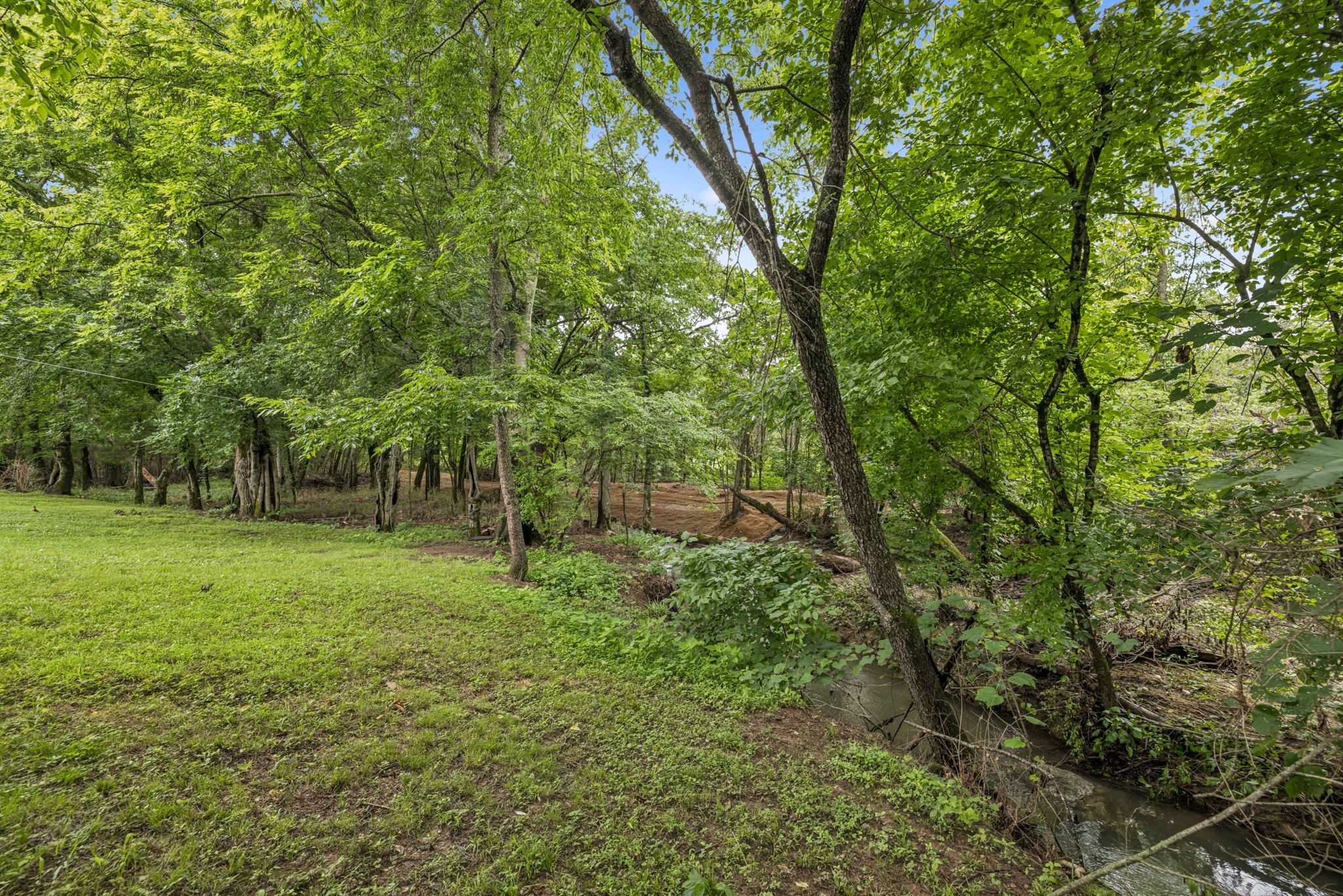 1443 Bern Drive Spring Hill, TN 37174 - Photo 57 of 64 a big yard with lots of green space and deers