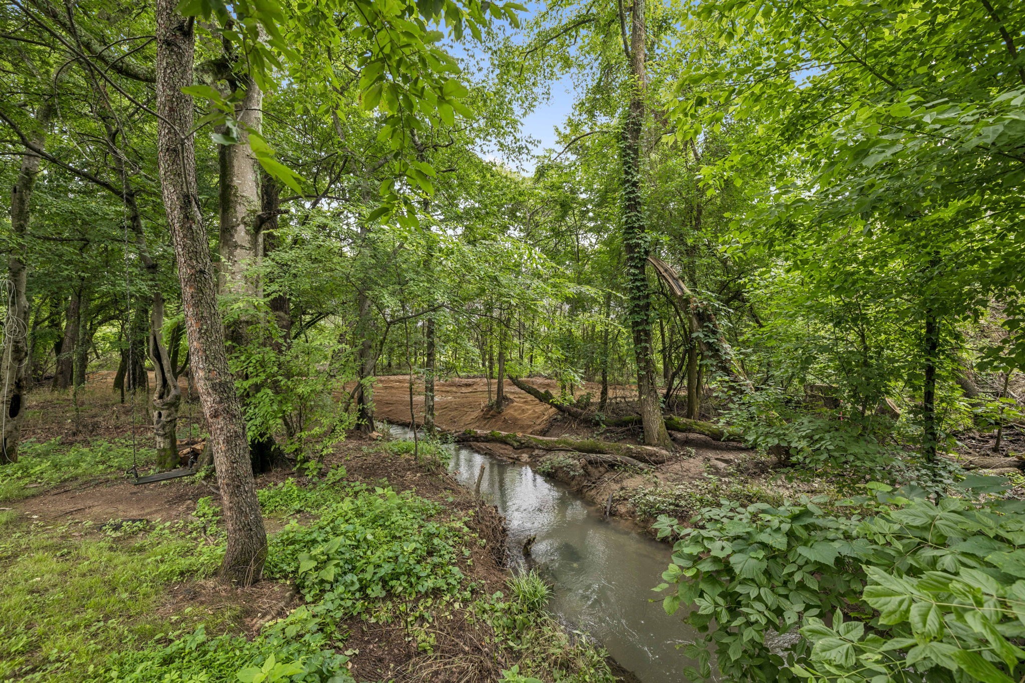 1443 Bern Drive Spring Hill, TN 37174 - Photo 58 of 64 a backyard of a house with lots of green space and garden