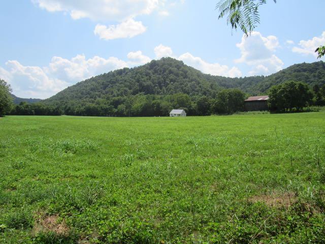 3403 Sycamore Valley Road Pleasant Shade, TN 37145 - Photo 1 of 9