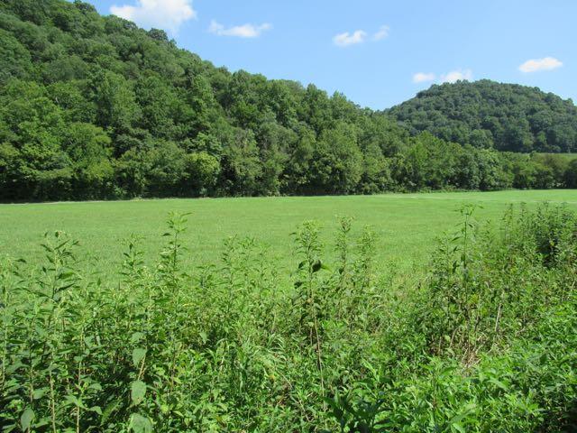 3403 Sycamore Valley Road Pleasant Shade, TN 37145 - Photo 7 of 9