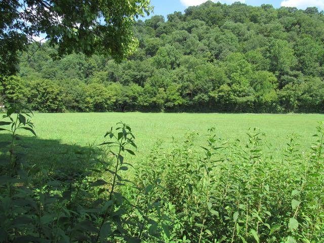 3403 Sycamore Valley Road Pleasant Shade, TN 37145 - Photo 8 of 9