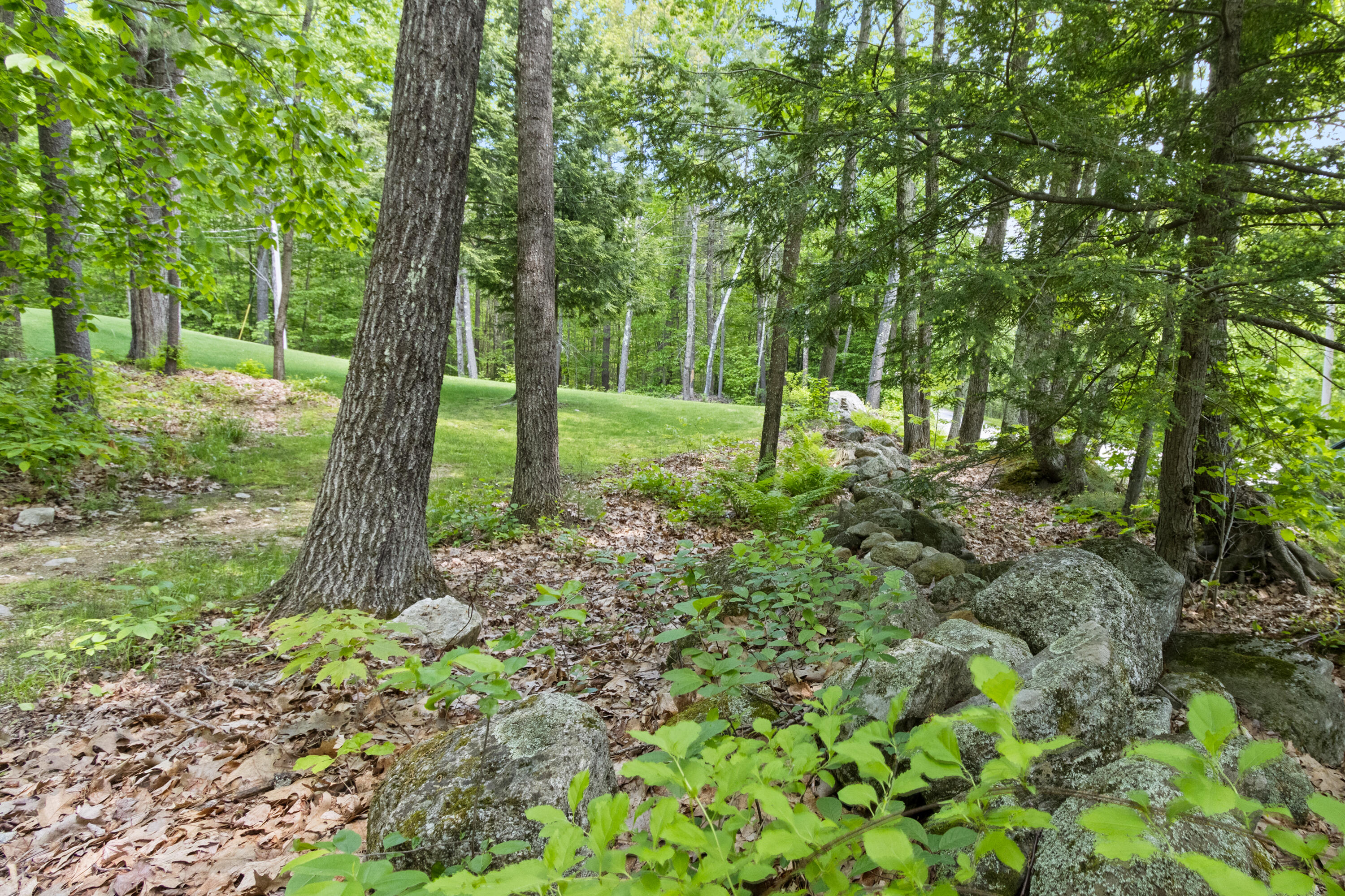 107 Jackass Annie Road Minot, ME 04258 - Photo 69 of 73 20250602JH-71073