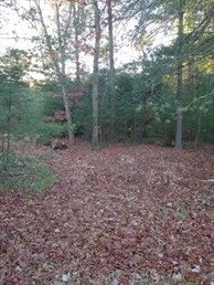 0 Root Road Westfield, MA 01085 - Photo 1 of 2 Gallery Image 1