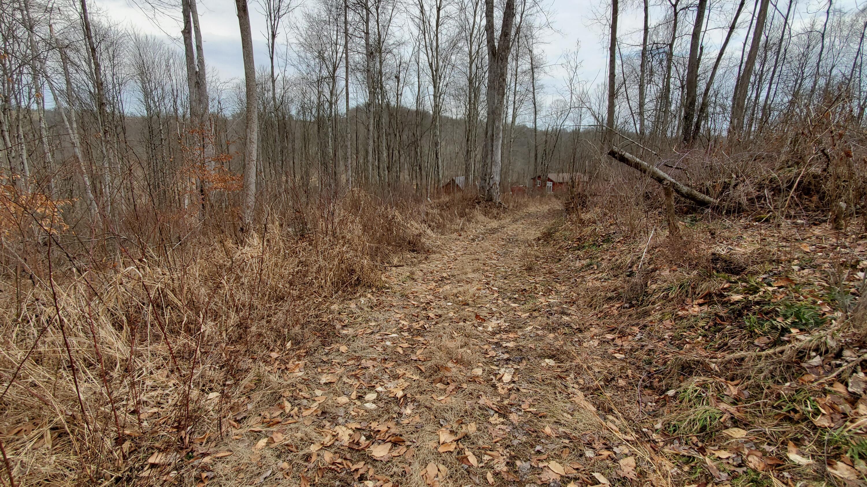 6870 Crane Run Road Cumberland, OH 43732 - Photo 37 of 49 20250226_125317