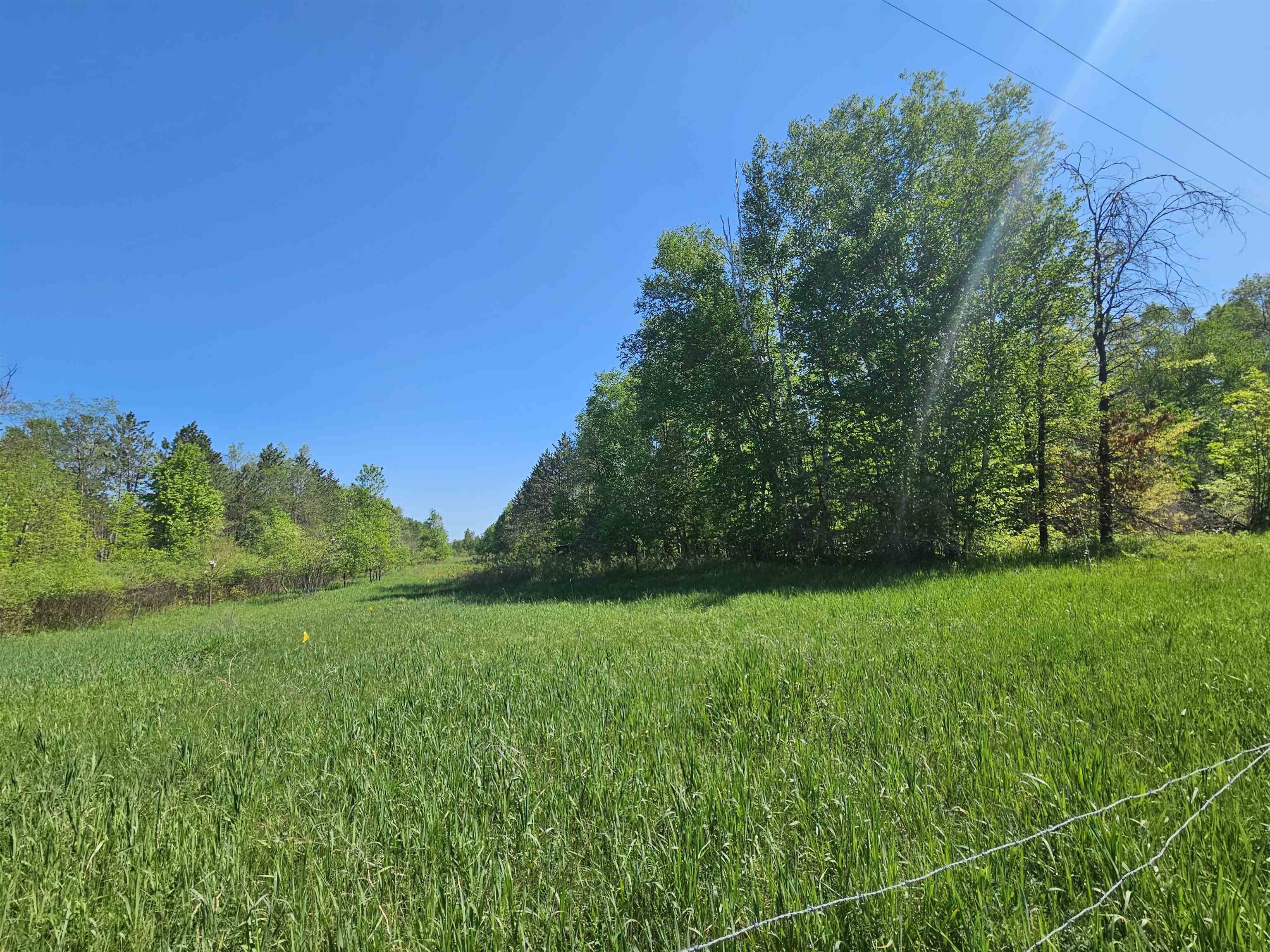 5350 East Cranberry Lake Road Harrison, MI 48625 - Photo 9 of 23