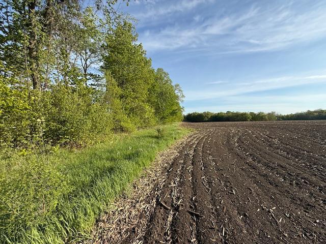 2 Pilgrim Point Alexandria, MN 56308 - Photo 28 of 28
