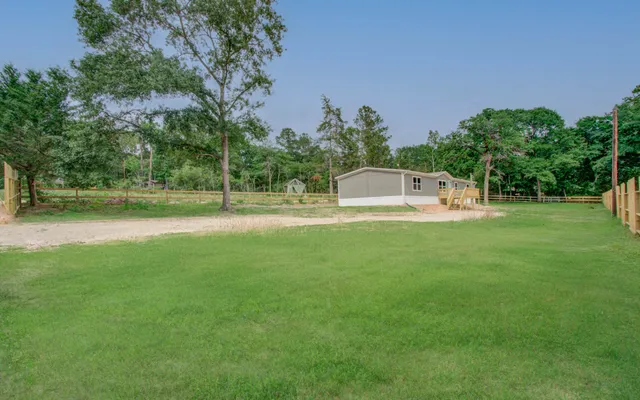 a view of a park with large trees