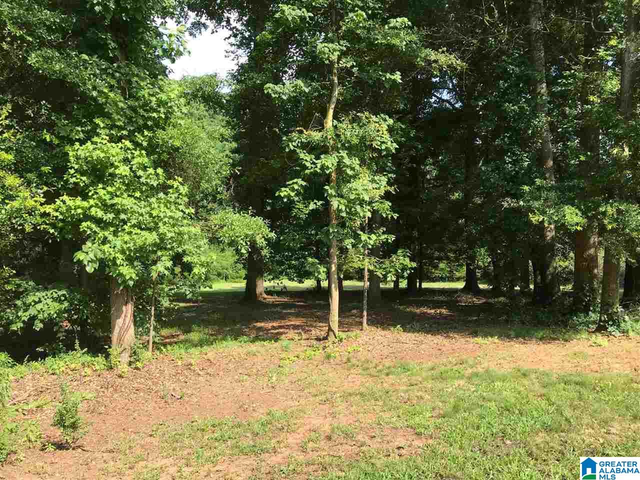 783 County Road 64 Ranburne, AL 36273 - Photo 35 of 44