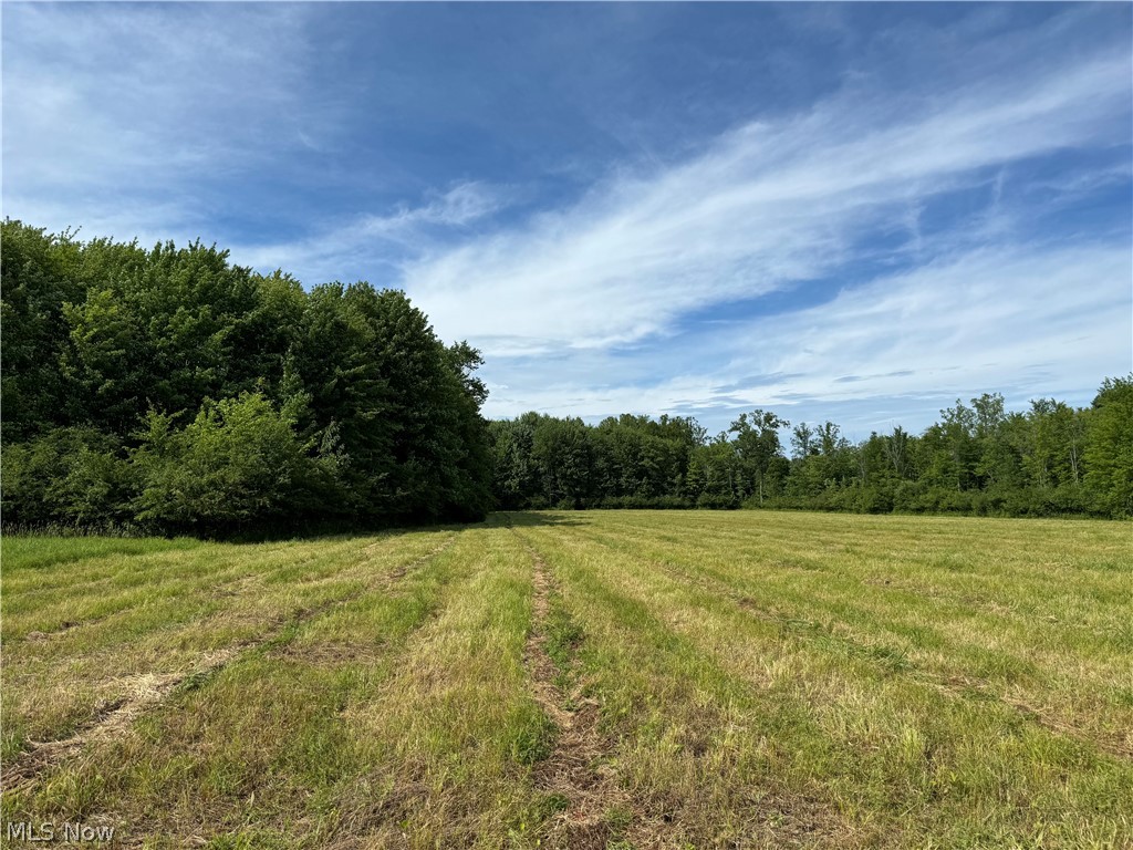 5 Leroy Center Road Thompson, OH 44086 - Photo 17 of 20