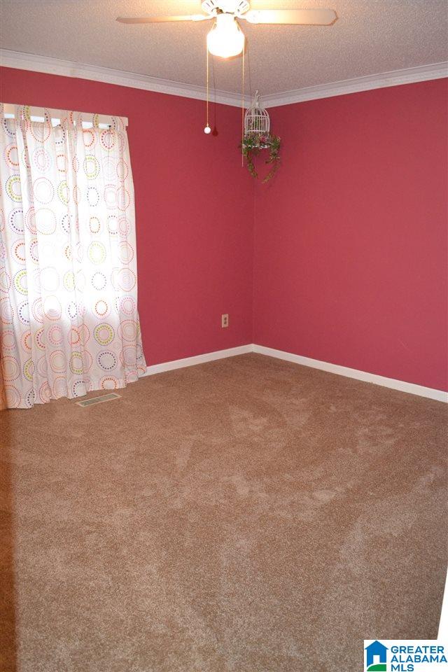 3992 Red Valley Road Remlap, AL 35133 - Photo 13 of 43