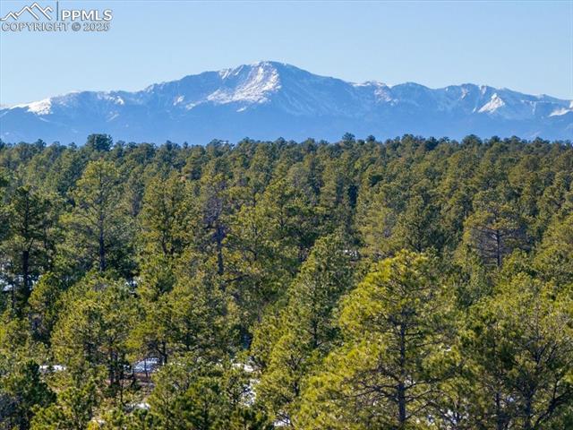 12180 Goodson Road Colorado Springs, CO 80908 - Photo 22 of 25