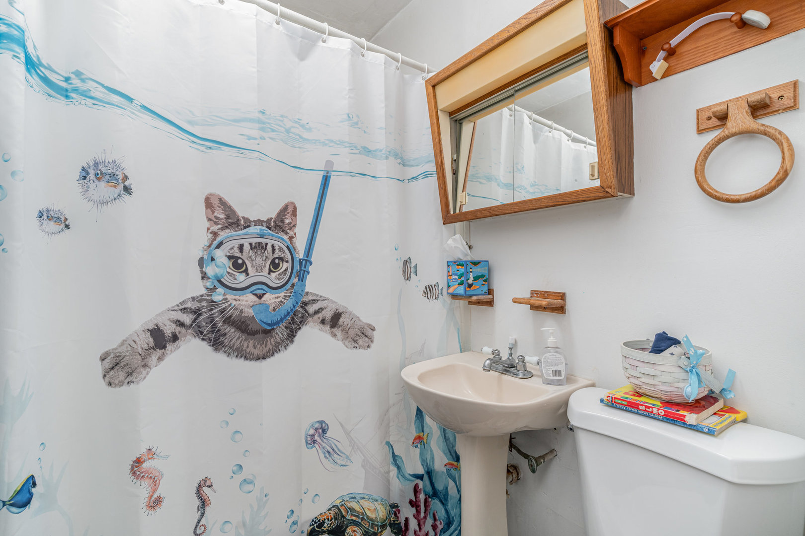 11700 South Springfield Avenue Alsip, IL 60803 - Photo 14 of 21 a bathroom with a sink and a mirror