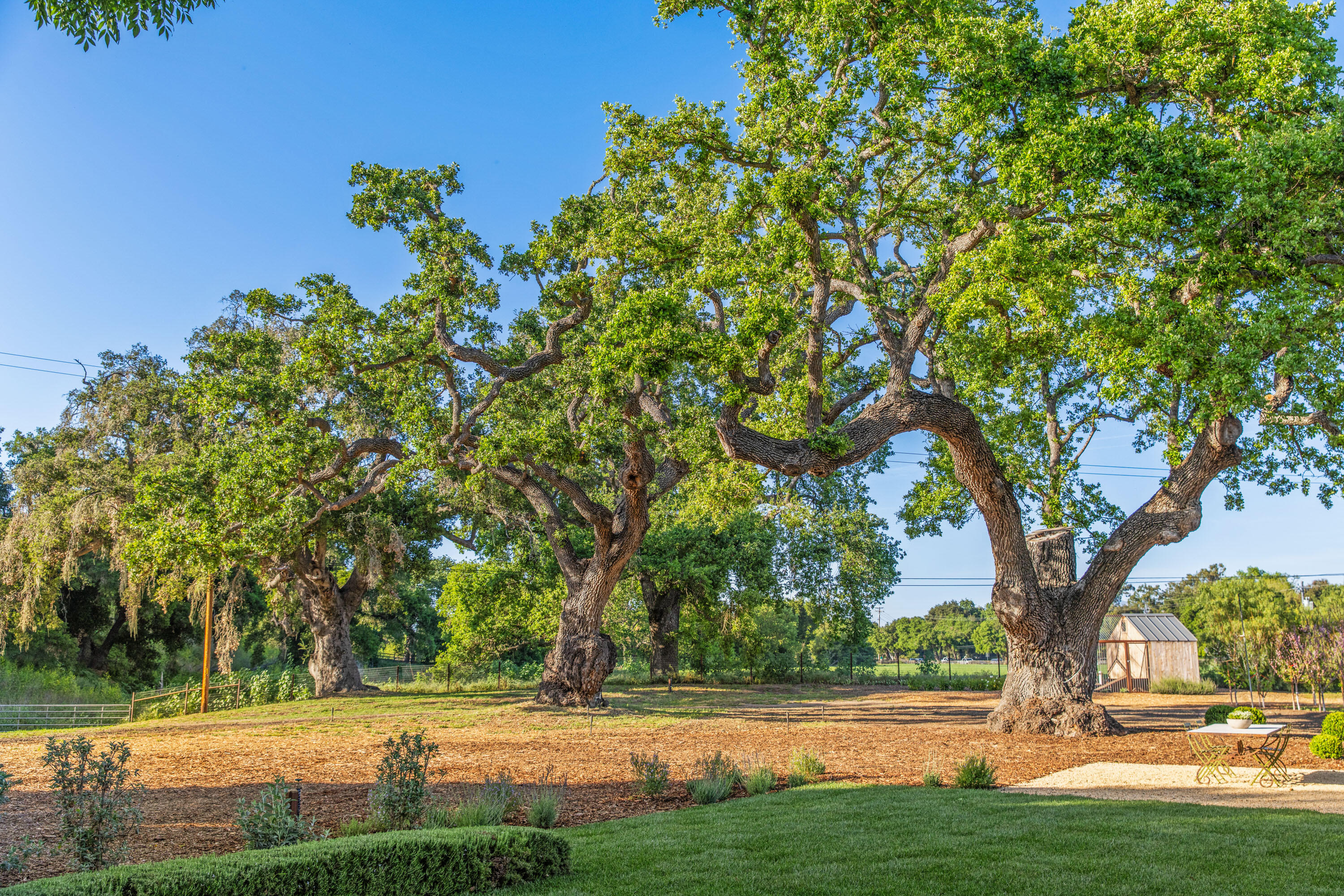 2275 Alamo Pintado Road Solvang, CA 93463 - Photo 25 of 52 2275 Alamo Pintado Web-29