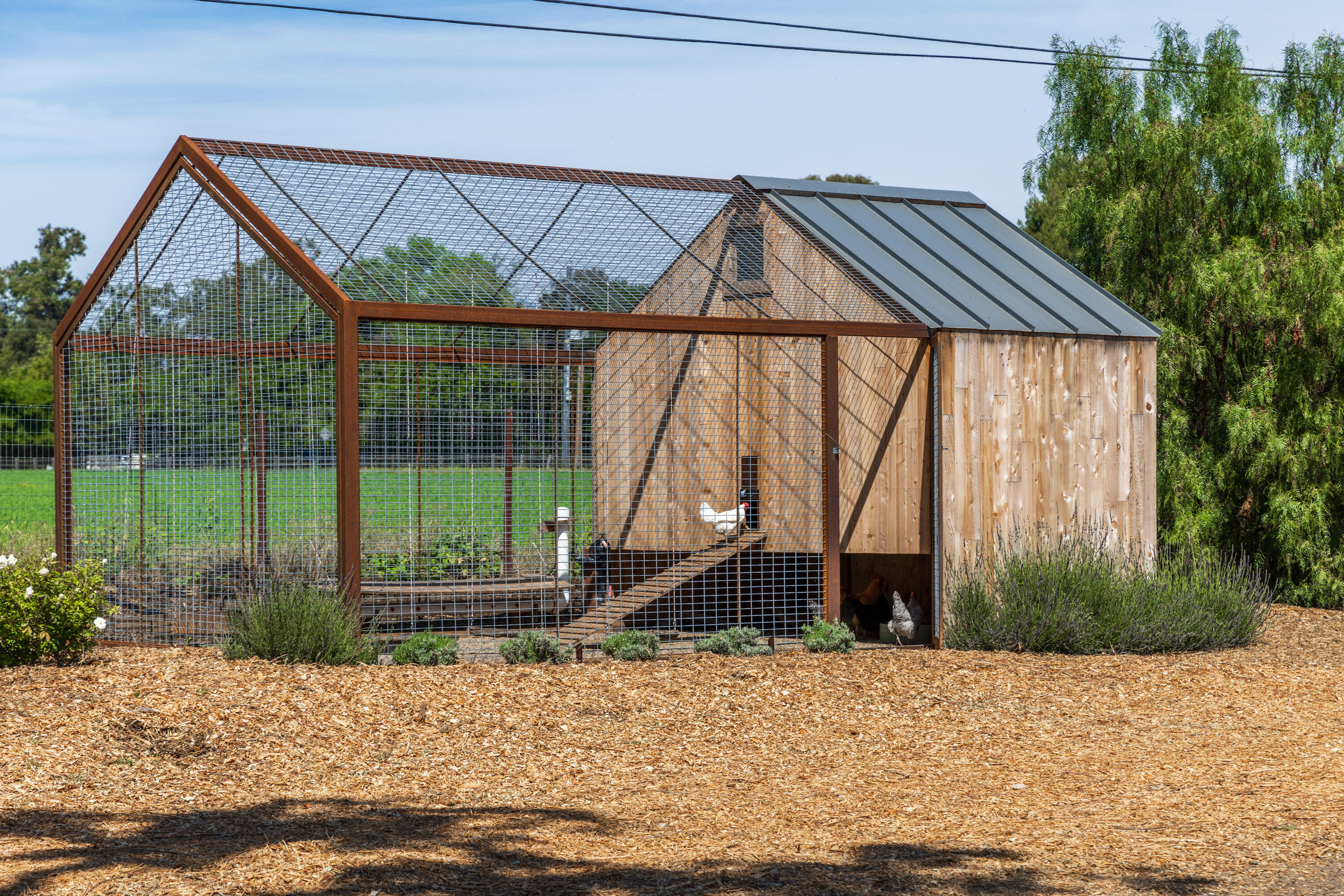 2275 Alamo Pintado Road Solvang, CA 93463 - Photo 30 of 52 2275 Alamo Pintado Web-4