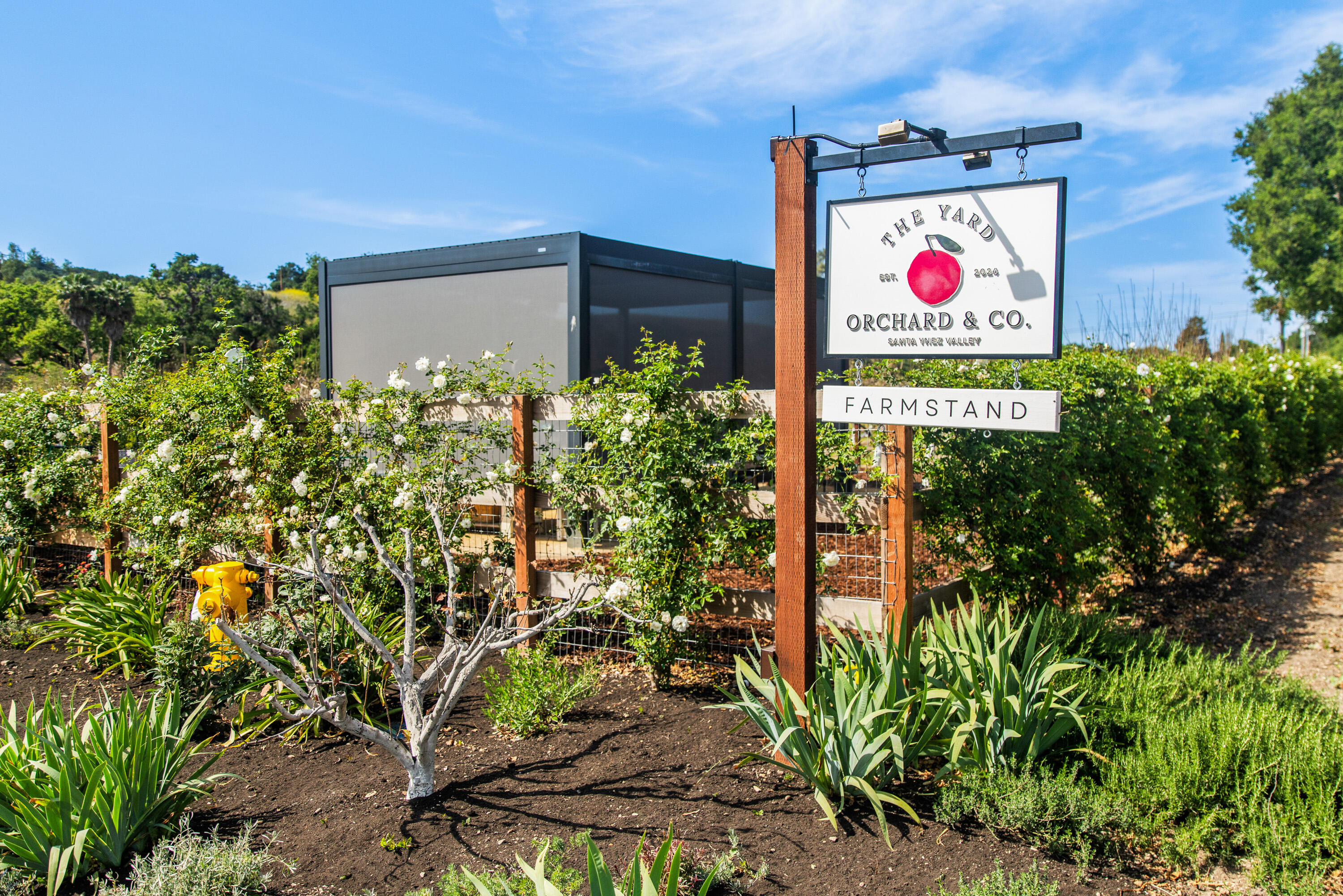 2275 Alamo Pintado Road Solvang, CA 93463 - Photo 31 of 52 2275 Alamo Pintado Web-10