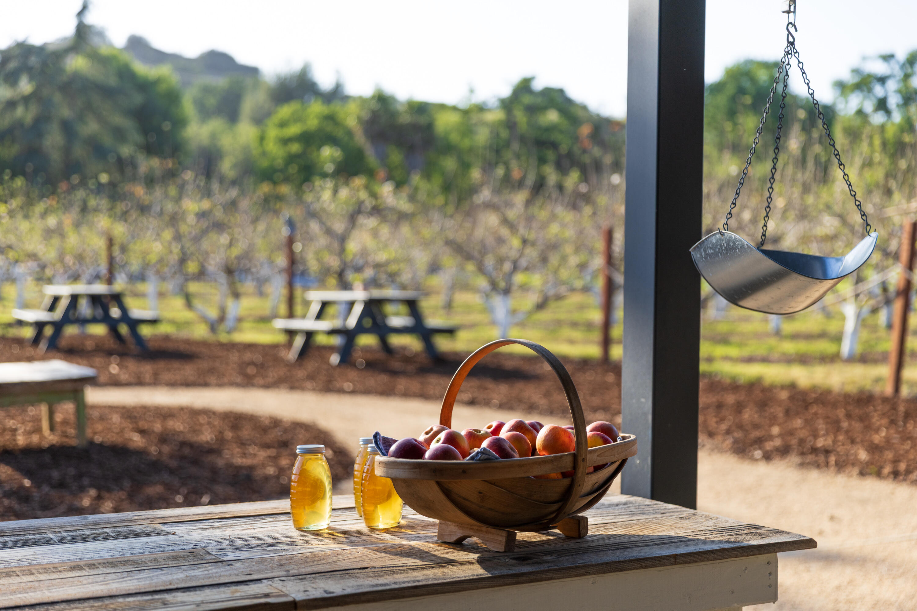 2275 Alamo Pintado Road Solvang, CA 93463 - Photo 35 of 52 2275 Alamo Pintado Web-40