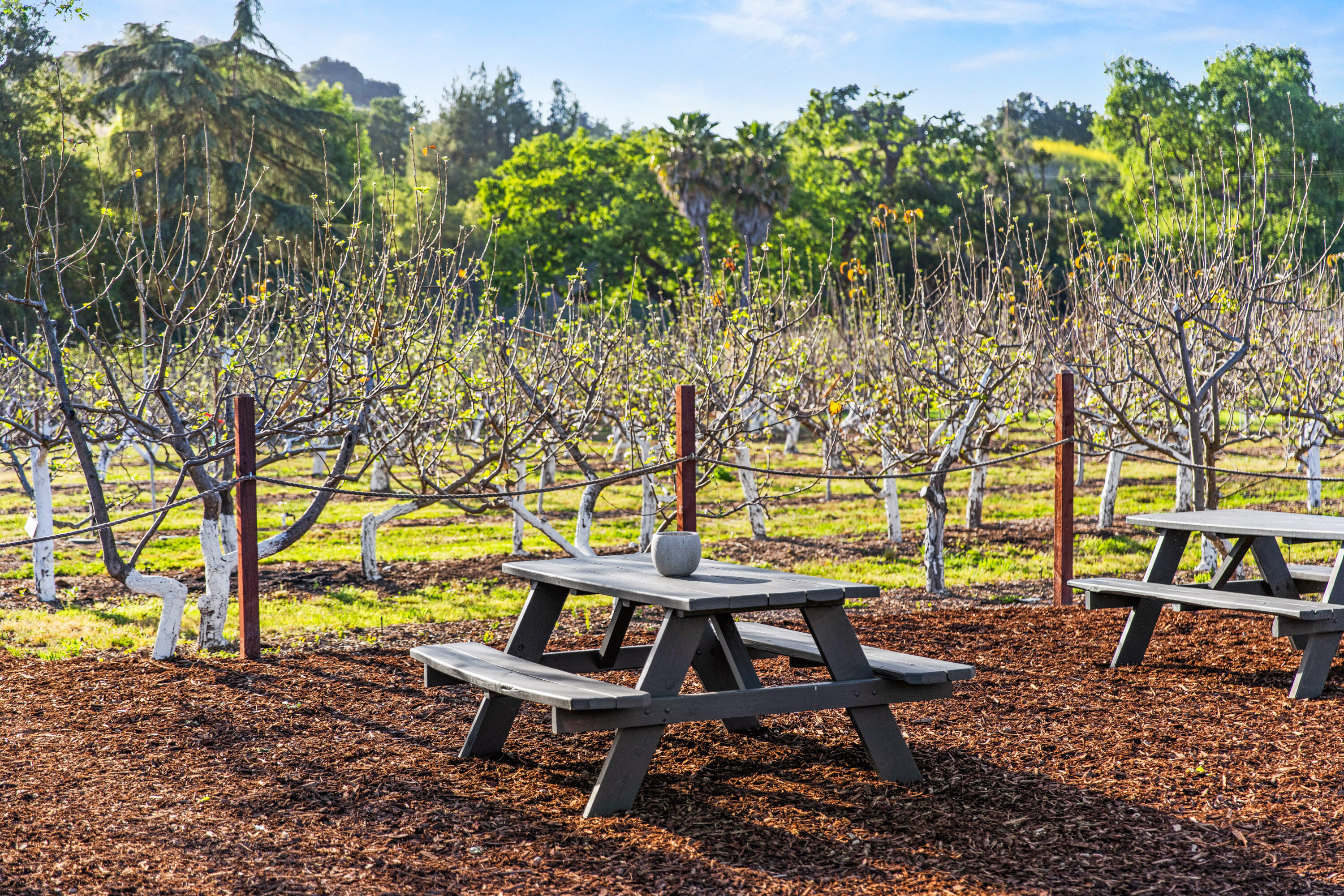 2275 Alamo Pintado Road Solvang, CA 93463 - Photo 37 of 52 2275 Alamo Pintado Web-41