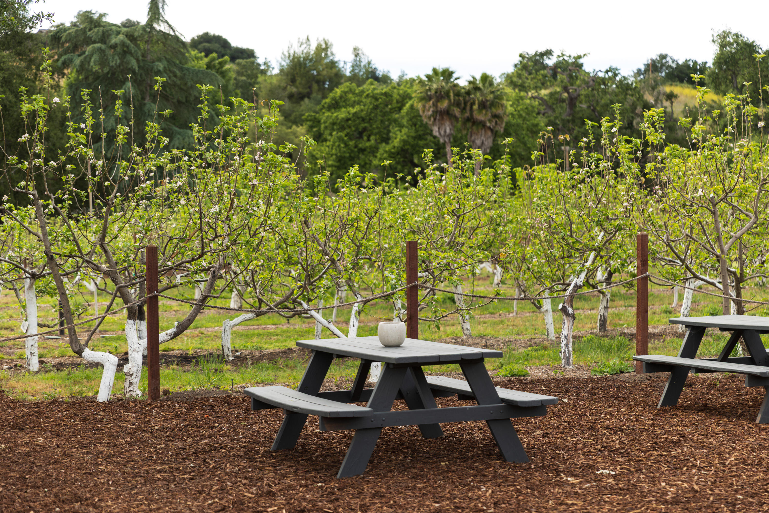 2275 Alamo Pintado Road Solvang, CA 93463 - Photo 41 of 52 2275 Alamo Pintado Web-53