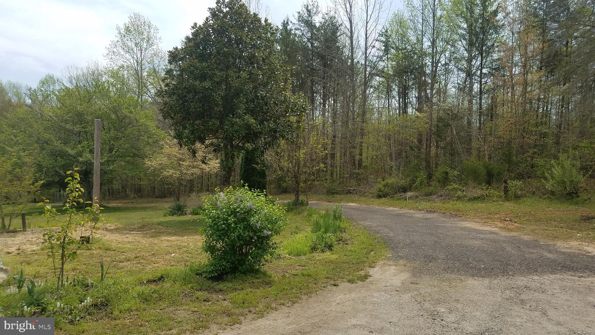 Driveway