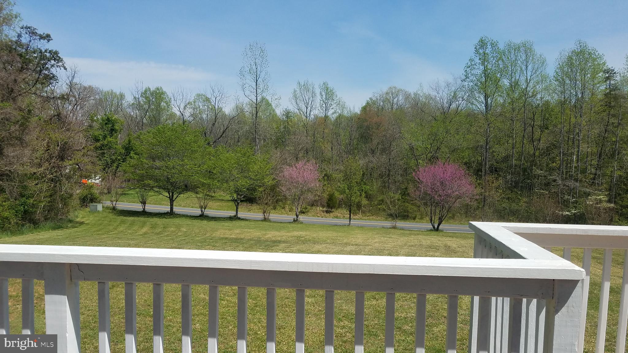 6702 Block House Road Spotsylvania, VA 22551 - Photo 9 of 39 View from Front porch