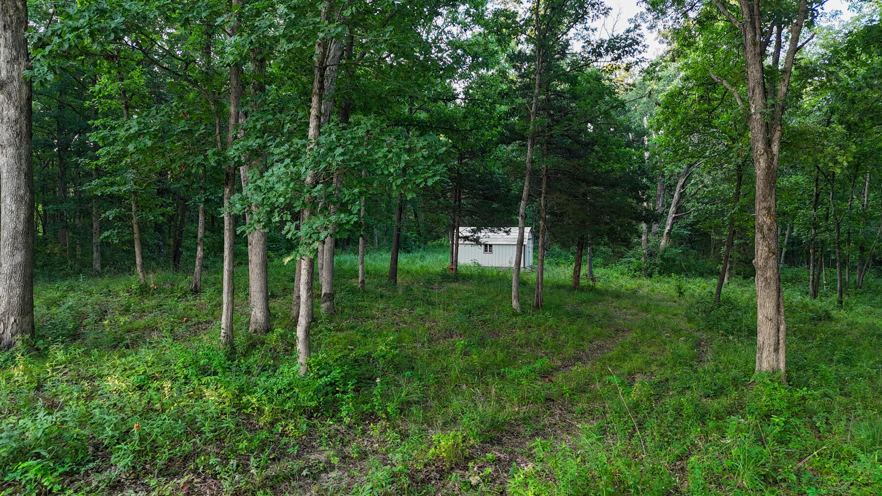 North Simms Road Sturgeon, MO 65284 - Photo 5 of 8