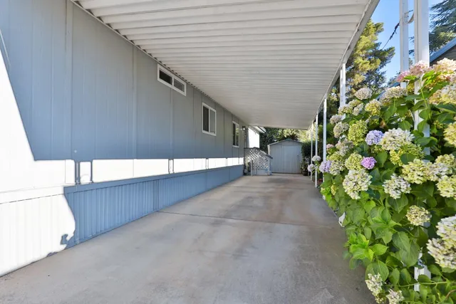 a view of a backyard