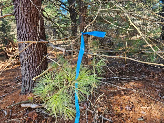 $52,900 | Parcel O Parcel O Tatanka Trail, Baldwin, MI 49304