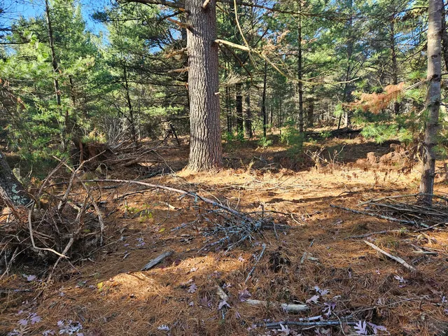 $52,900 | Parcel O Parcel O Tatanka Trail, Baldwin, MI 49304