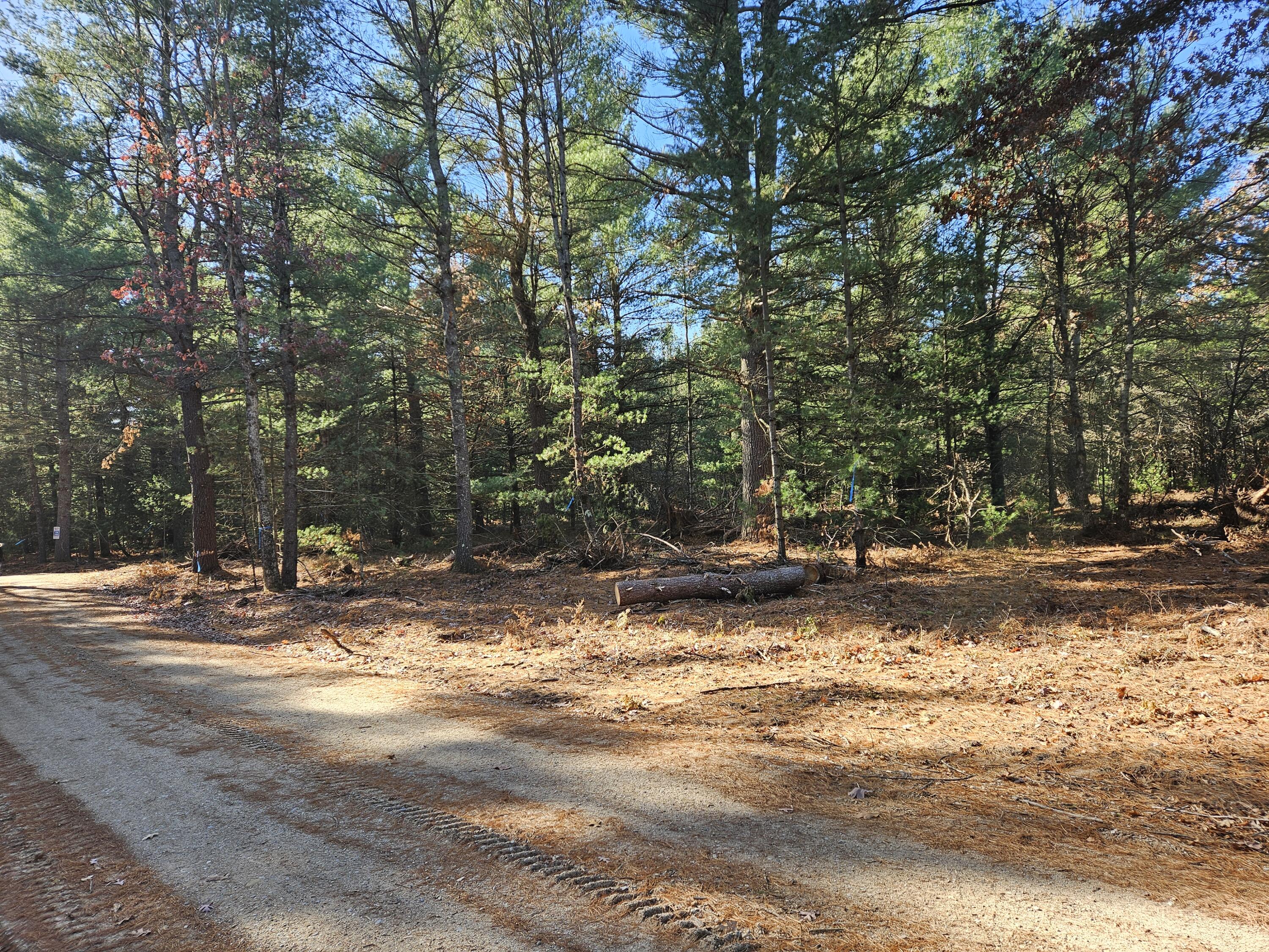 Parcel O Parcel O Tatanka Trail Baldwin, MI 49304 - Photo 5 of 7 20251113_122046