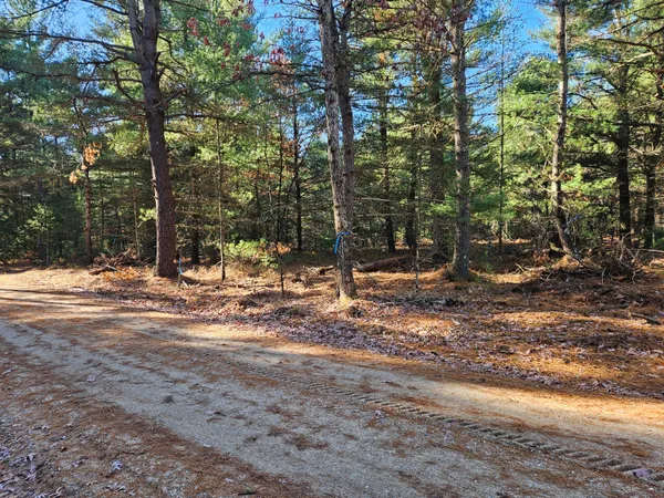 $52,900 | Parcel O Parcel O Tatanka Trail, Baldwin, MI 49304