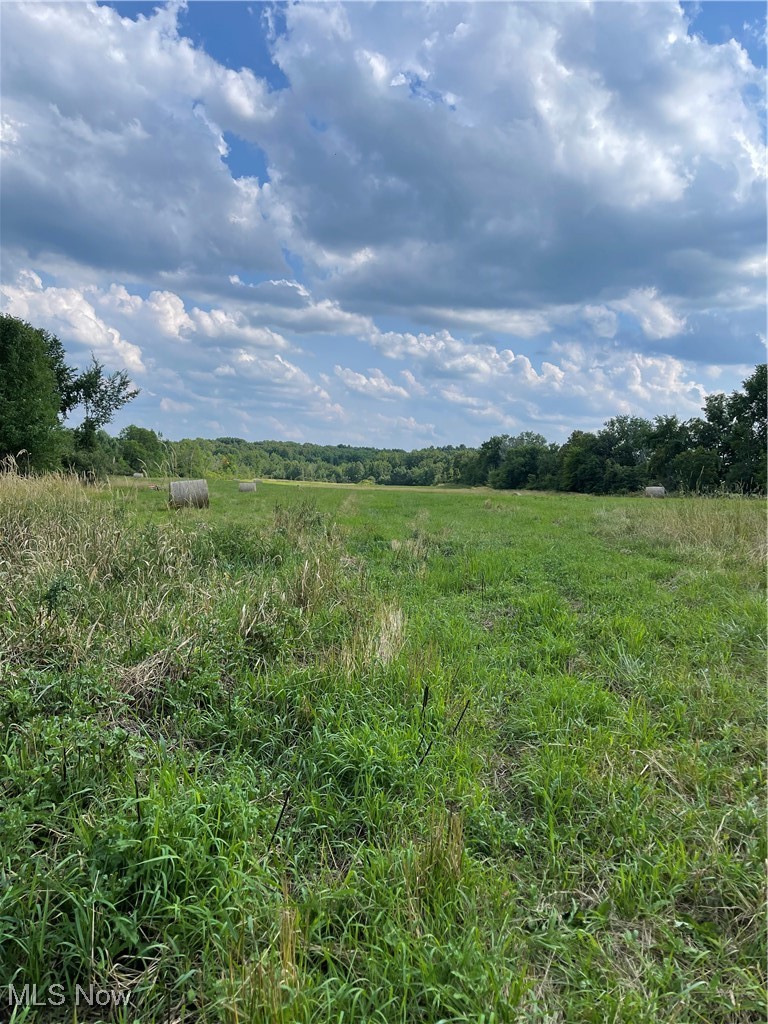 West Smith Road Medina, OH 44256 - Photo 1 of 7 View of land from the street