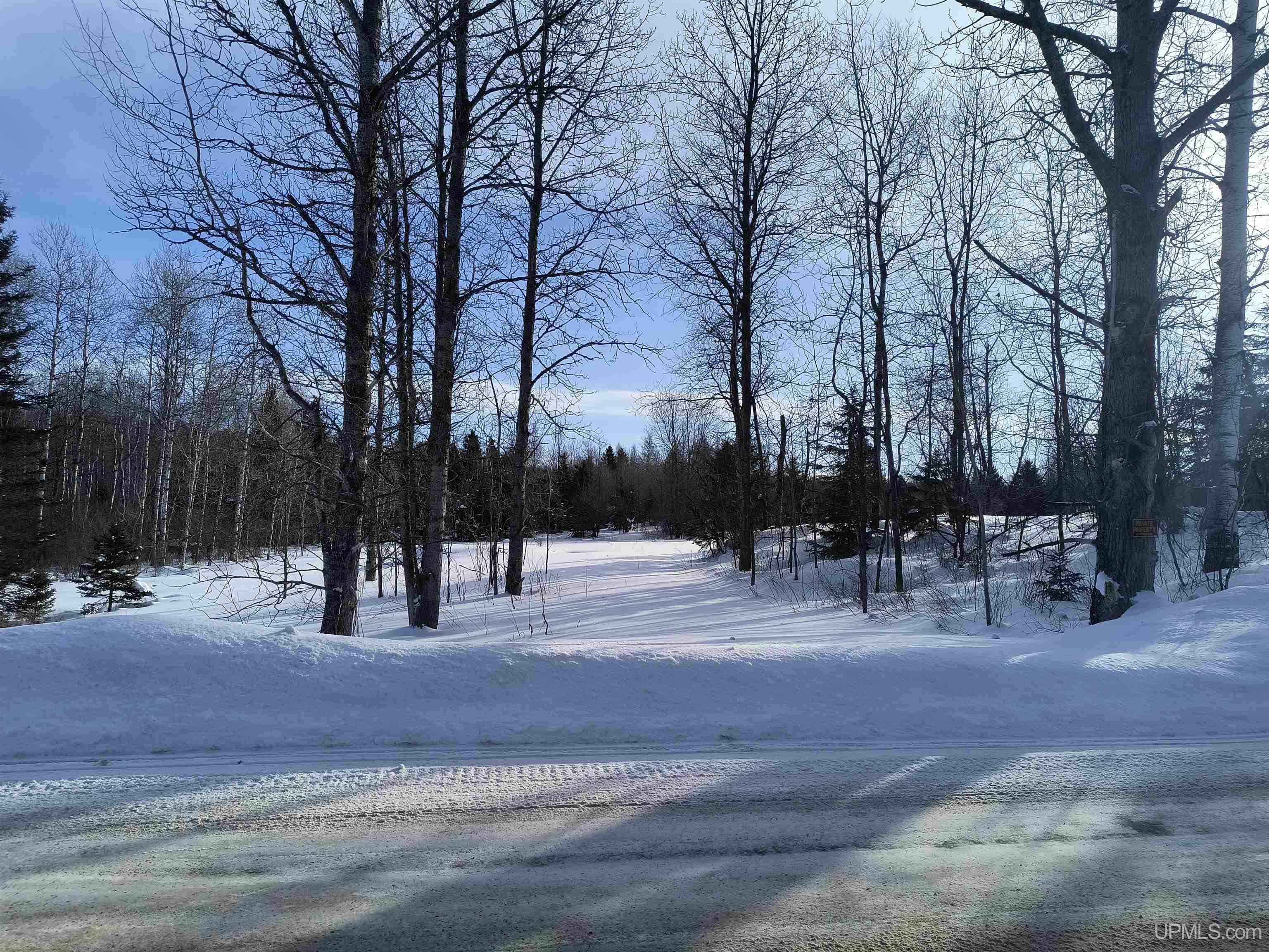 Off Bates Gaastra Road Iron River, MI 49935 - Photo 3 of 7