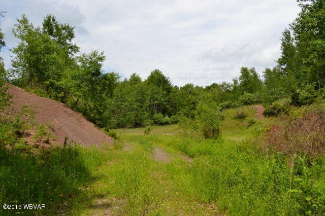Lot 6 Shaffers Notch Road New Albany, PA 18833 - Photo 6 of 17 29548_5