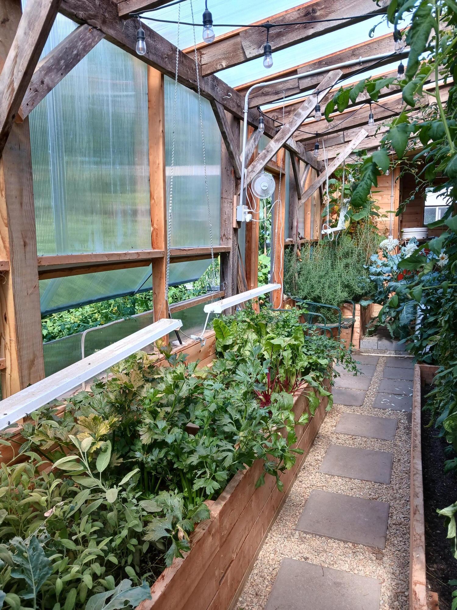 455 Ellsworth Road Blue Hill, ME 04614 - Photo 20 of 28 Greenhouse Interior (1)