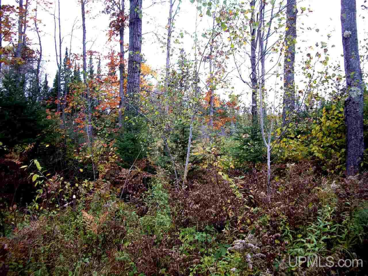 Tbd Pillow Road Trenary, MI 49891 - Photo 3 of 9 Gallery Image 3