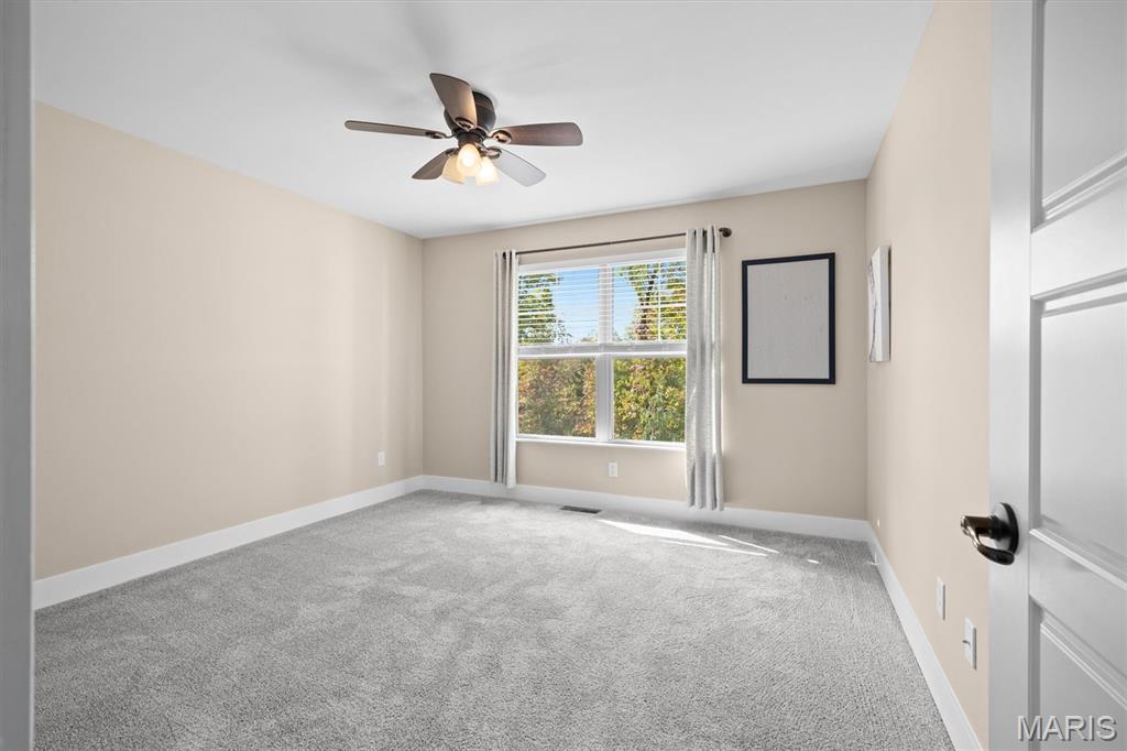 7102 Clayton Road Waterloo, IL 62298 - Photo 26 of 59