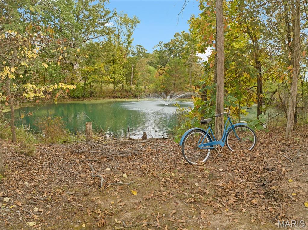 7102 Clayton Road Waterloo, IL 62298 - Photo 47 of 59