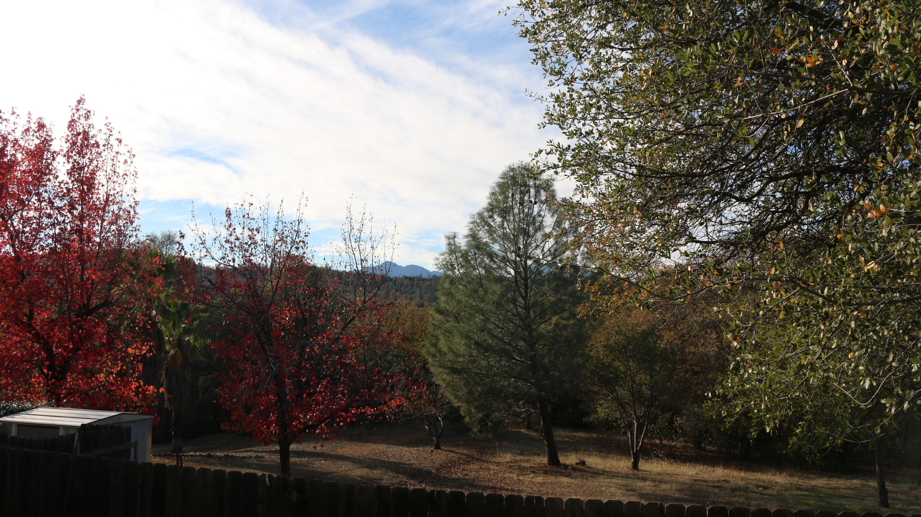 1694 Ridge Drive Redding, CA 96001 - Photo 14 of 59 IMG_2416