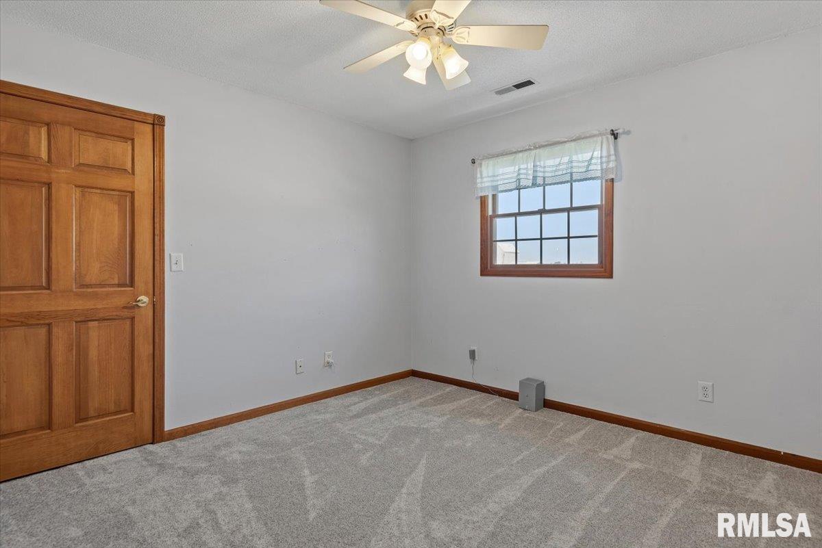 20205 North 20th Avenue Nokomis, IL 62075 - Photo 30 of 88
