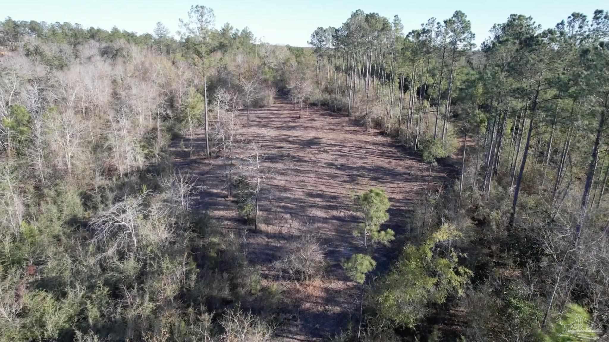 Lot 42-br Buffalo Ridge Road Milton, FL 32571 - Photo 3 of 15