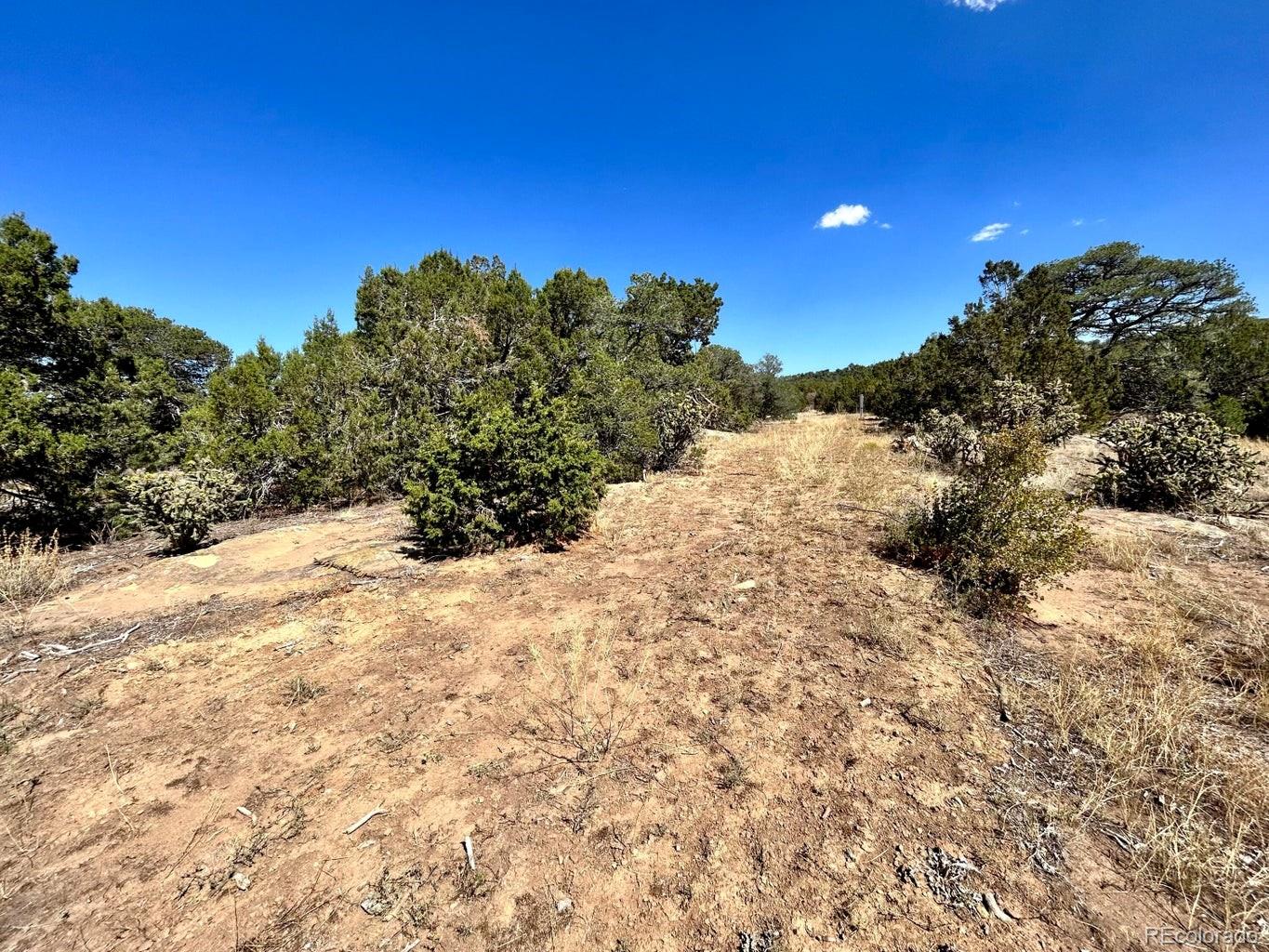919 Los Vaqueros Circle Walsenburg, CO 81089 - Photo 4 of 10 a view of a dry yard with trees in the background