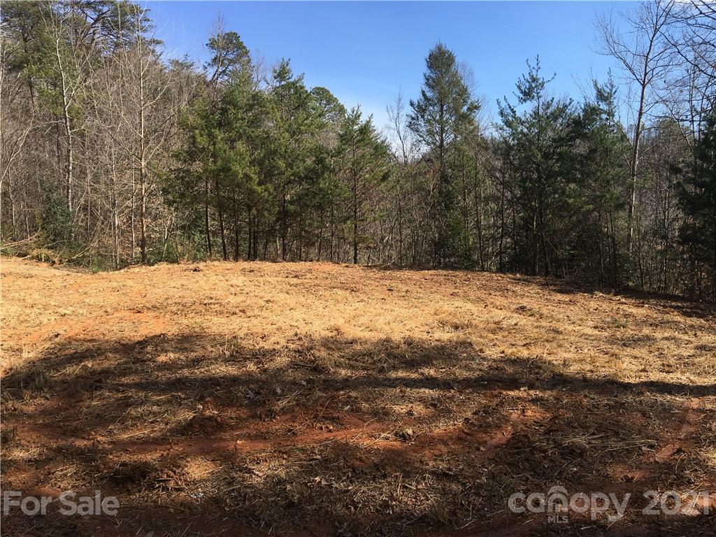 0 Hwy 19 Road Bryson City, NC 28713 - Photo 1 of 8 Gallery Image 1