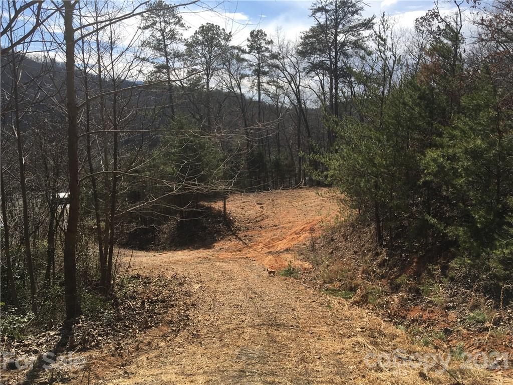 0 Hwy 19 Road Bryson City, NC 28713 - Photo 3 of 8 Gallery Image 3