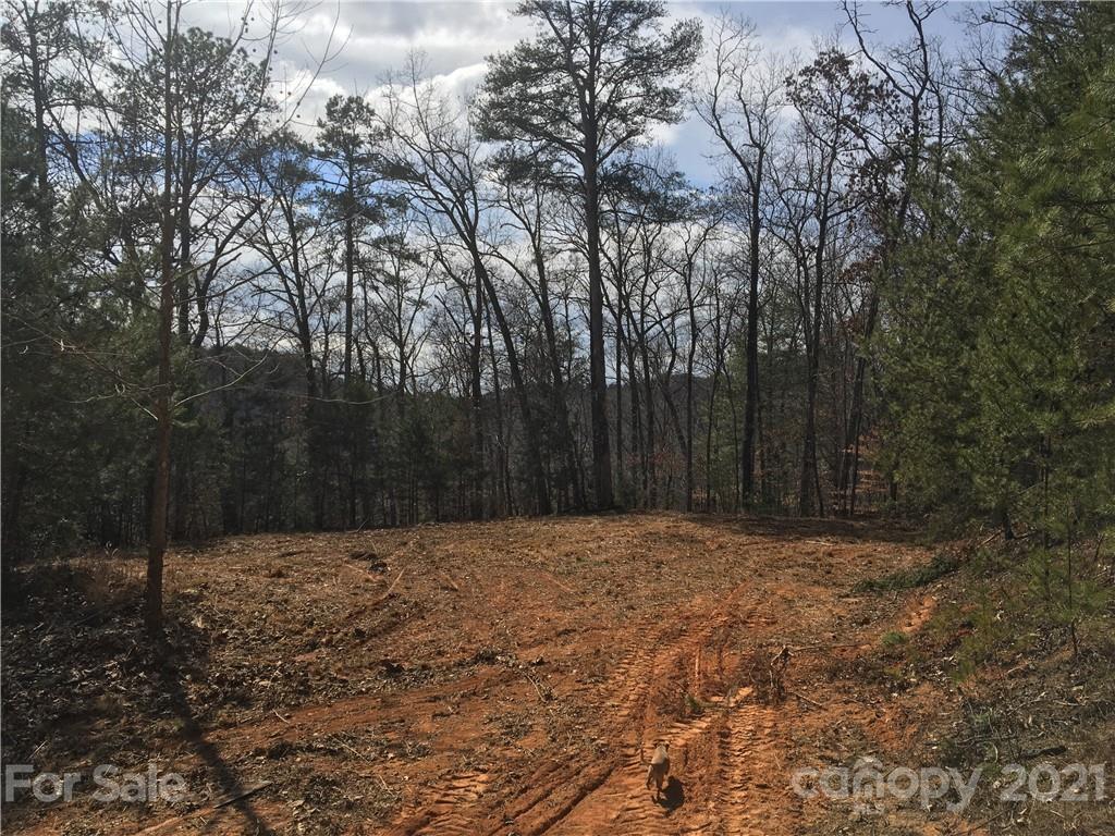 0 Hwy 19 Road Bryson City, NC 28713 - Photo 5 of 8 Gallery Image 5