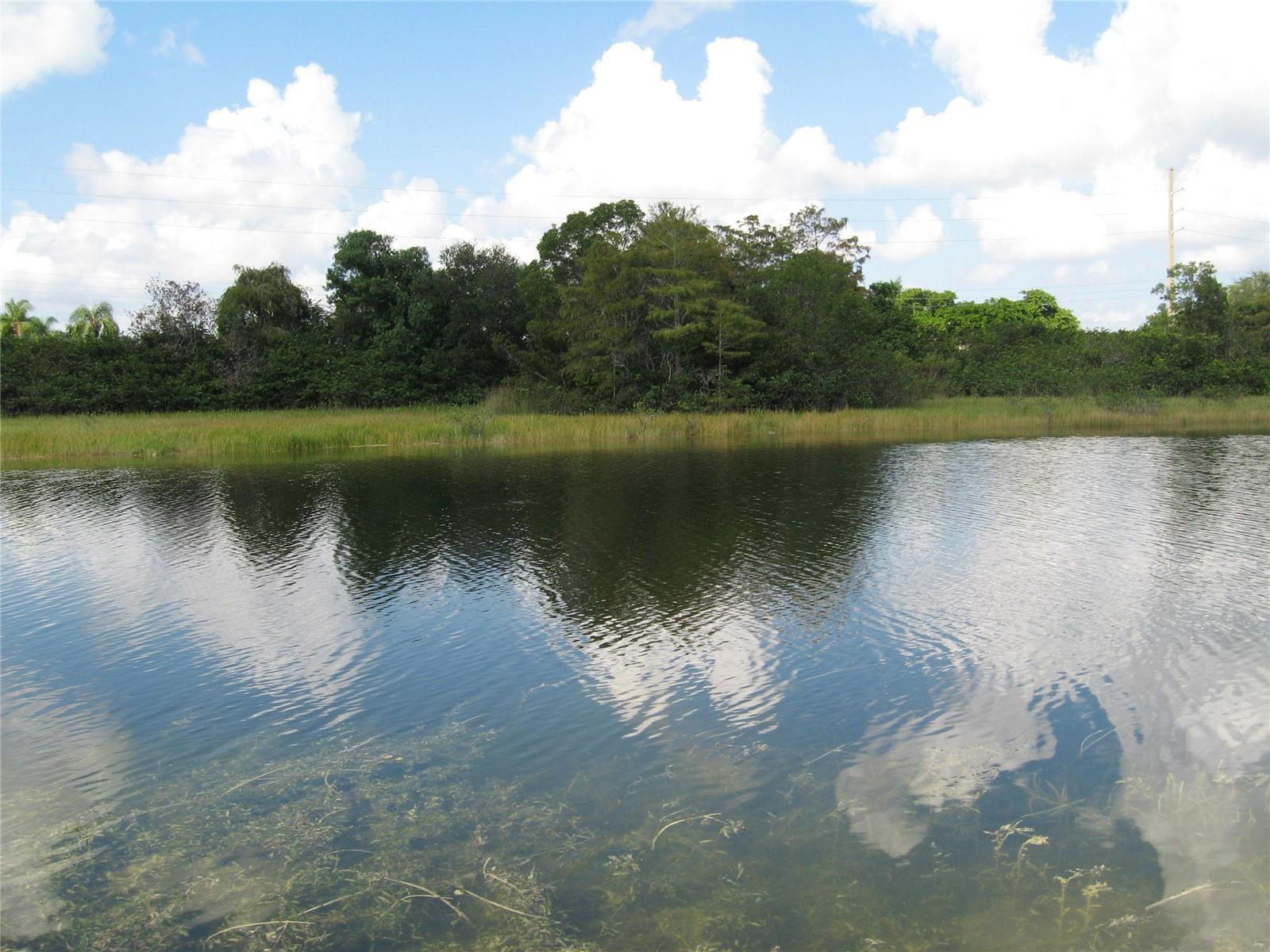 Undisclosed Address Pembroke Pines, FL 33029 - Photo 14 of 15 Photo 14