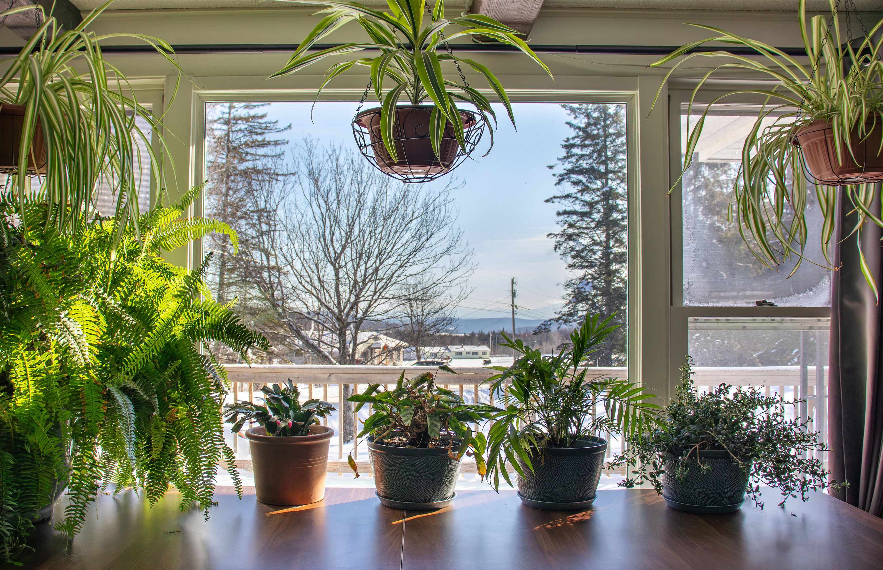 239 Calkins Camp Road Danville, VT 05828 - Photo 13 of 43