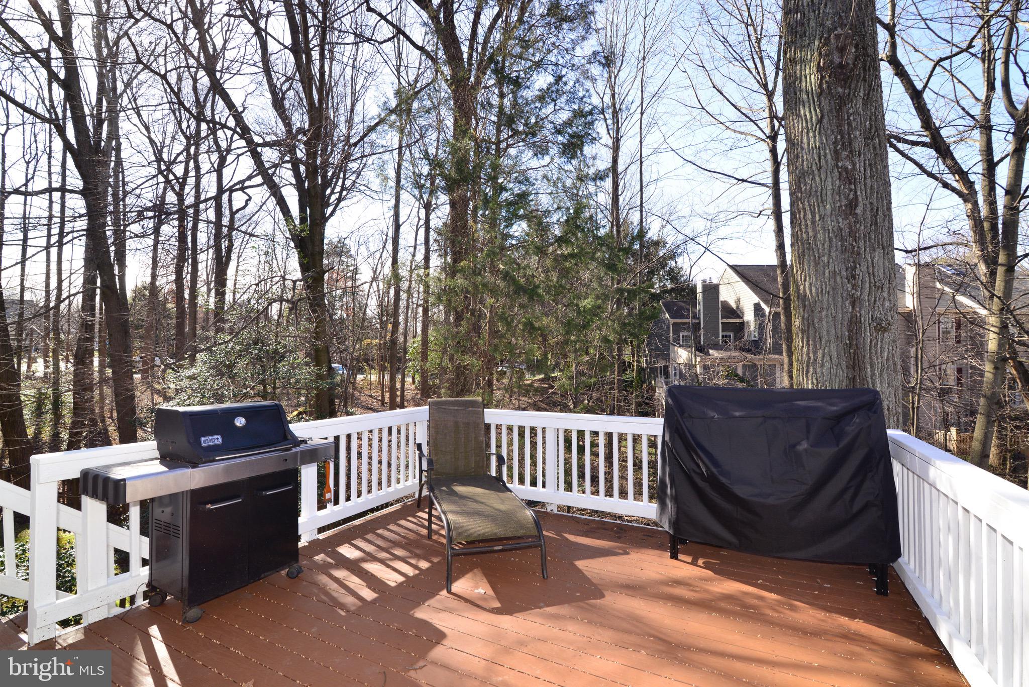 11627 Springhouse Place Reston, VA 20194 - Photo 18 of 46