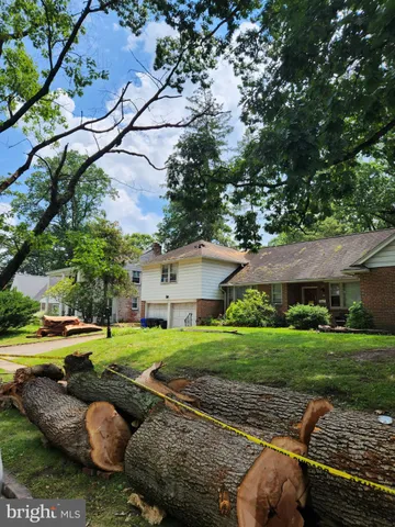 a view of a backyard with plants and a garden