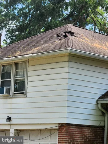 a view of a backyard that has a tree