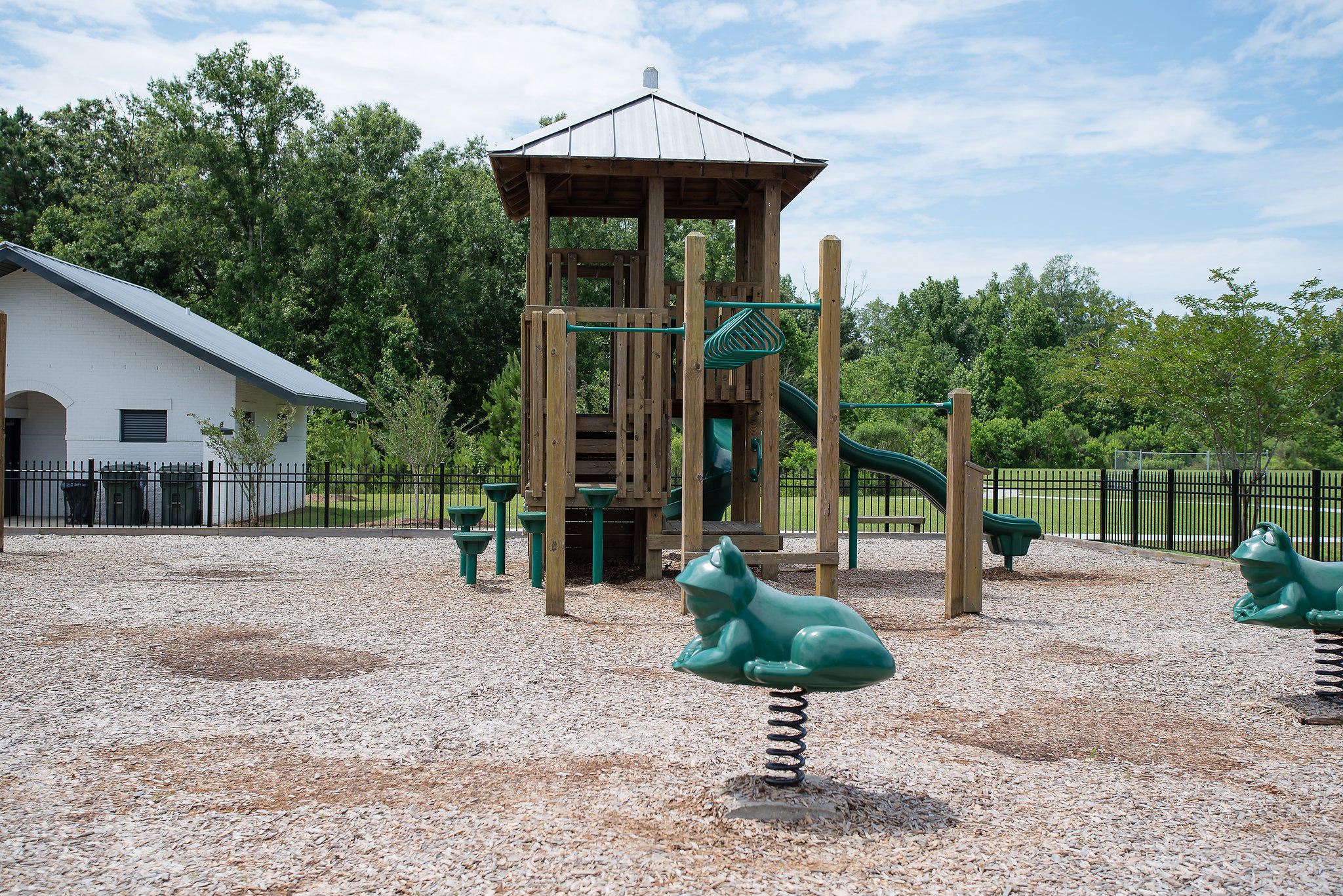 409 Allamby Ridge Road Moncks Corner, SC 29461 - Photo 39 of 43 Play Ground